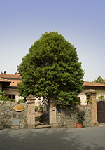 Bed and Breakfast la Primavera