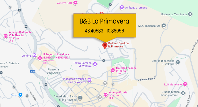 Apri la posizione su Google Maps